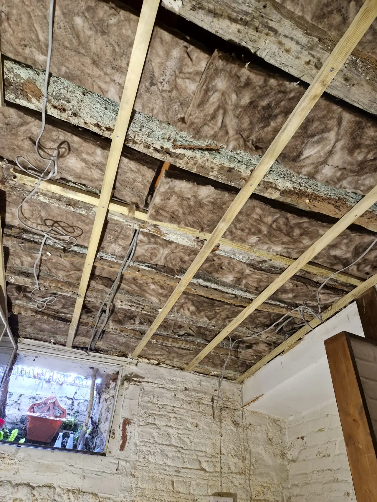 Cellar ceiling opened for insulation, timber repairs and new wiring